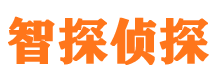 隆尧市侦探调查公司